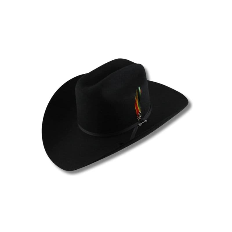 Tejana Stenson Rancher 6x