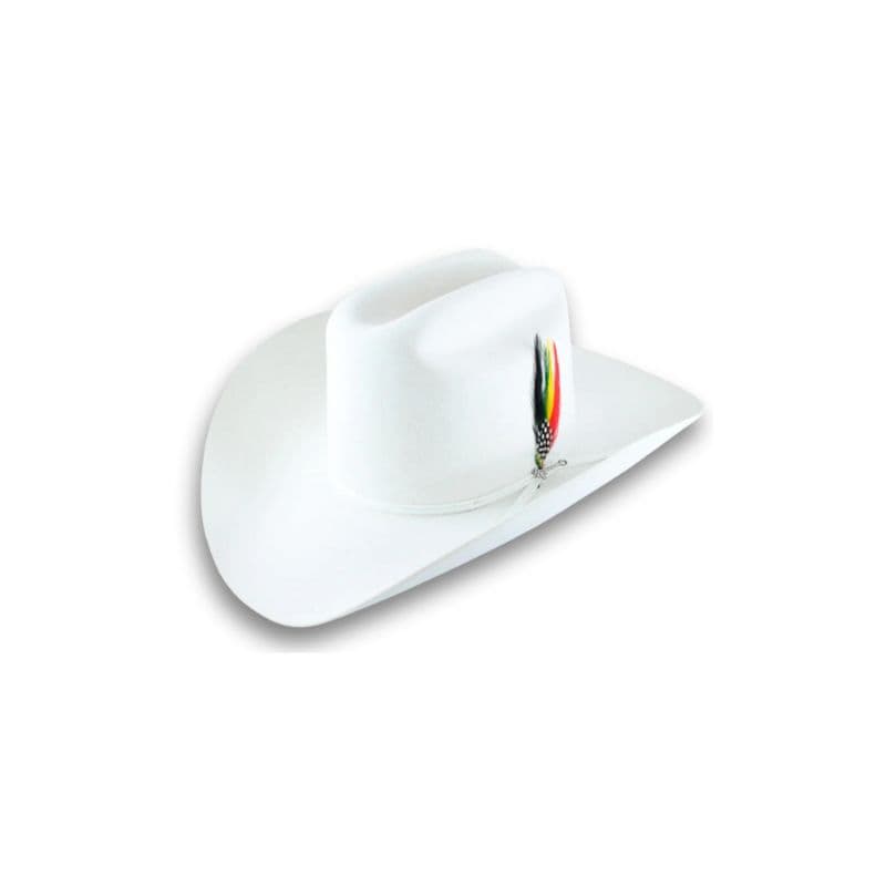 Tejana Stenson Rancher 6x