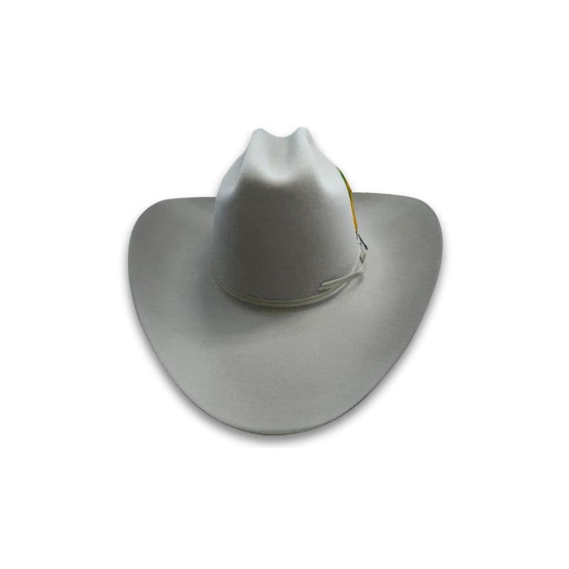 Tejana Stenson Rancher 6x