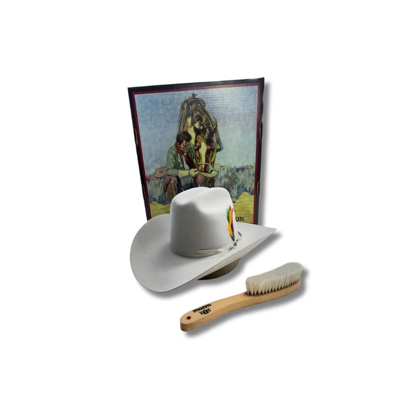 Tejana Stenson Rancher 6x